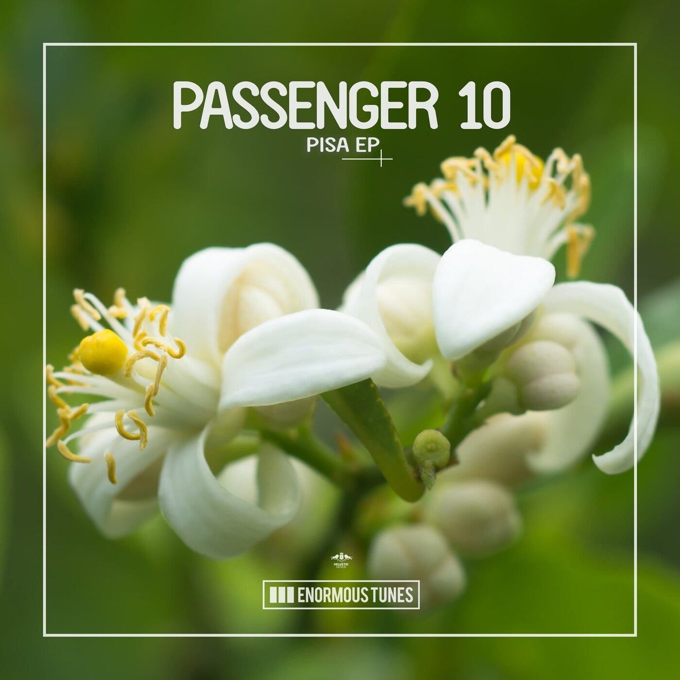 Passenger 10 - Pisa EP [ETR600]
